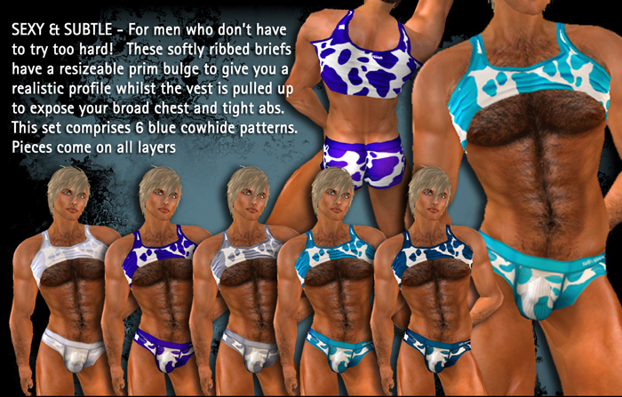 .~subVersion~. Cowhide Briefs & Tank  BLUES