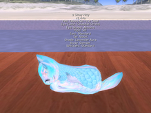 Stray Cats Kitten - Stray Kitty (F)