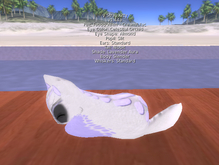 Stray Cats Kitten - Stray Kitty (F)