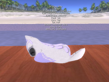 Stray Cats Kitten - Stray Kitty (M)