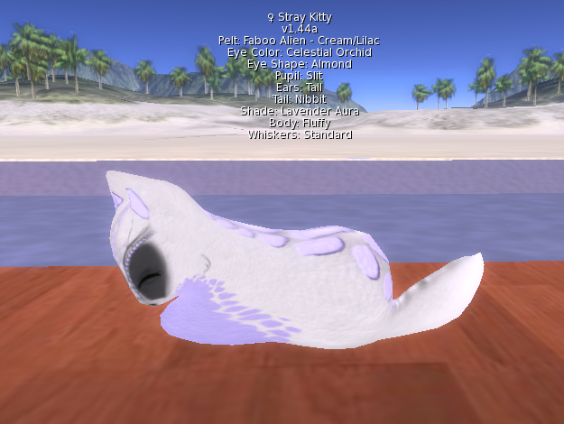 Stray Cats Kitten - Stray Kitty (F)