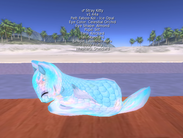 Stray Cats Kitten - Stray Kitty (M)