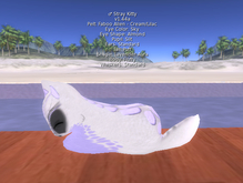 Stray Cats Kitten - Stray Kitty (M)