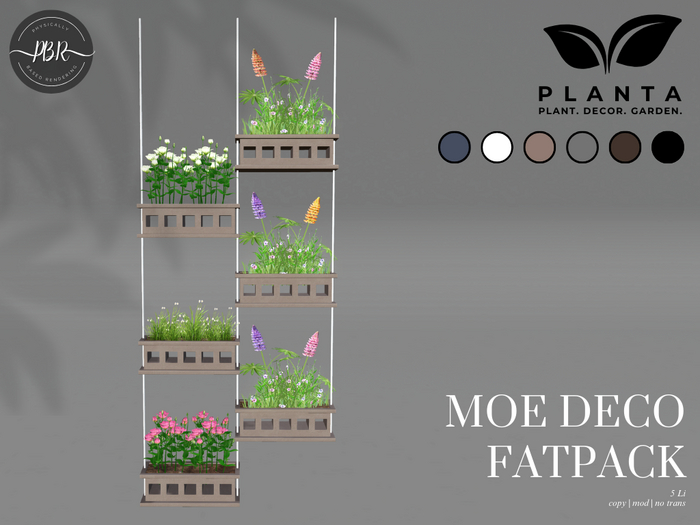Planta - Moe Deco Fatpack