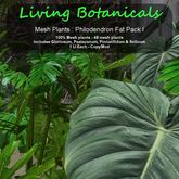 Inochi Botanicals - Philodendron Fat Pack I
