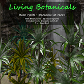 Inochi Botanicals - Dracaena Fat Pack I