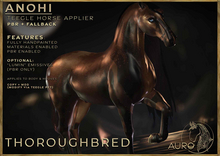 [AURO] Anohi  [THOROUGHRBED] :: For Teegle Horse (add)