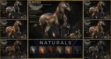 [AURO] Anohi  [Naturals MIDI Pack] :: For Teegle Horse (add)