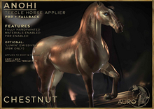 [AURO] Anohi  [CHESTNUT] :: For Teegle Horse (add)