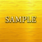 [ Professional Gold 02 ] G