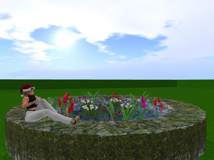Garden Pool