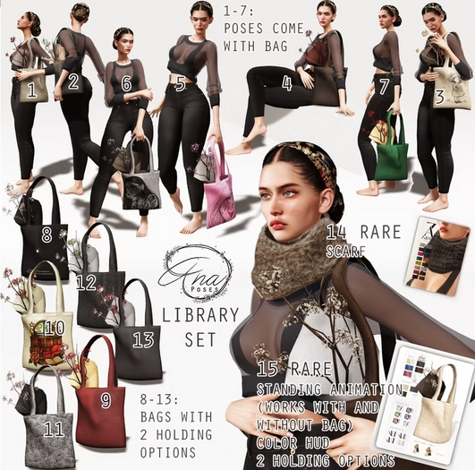 Ana Poses - Library 7