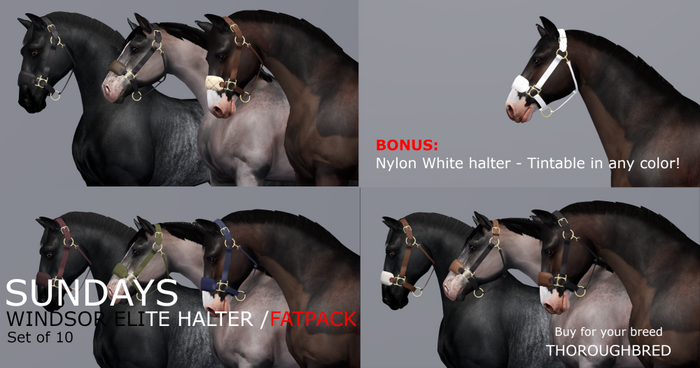 SundayS / Windsor Elite Halter - FATPACK / Thoroughbred