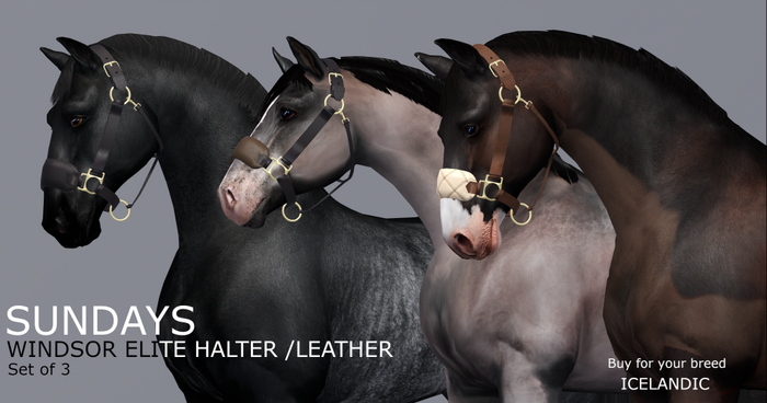 SundayS / Windsor Elite Halter - Leather / Icelandic