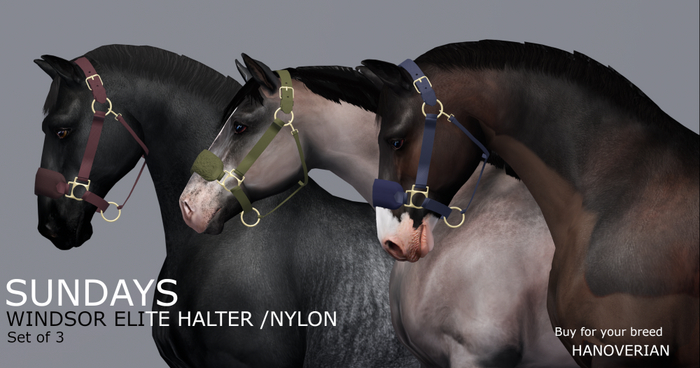 SundayS / Windsor Elite Halter - Nylon / Hanoverian