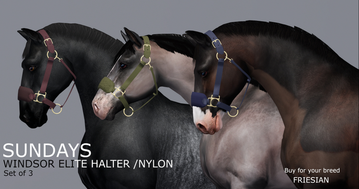 SundayS / Windsor Elite Halter - Nylon /Friesian