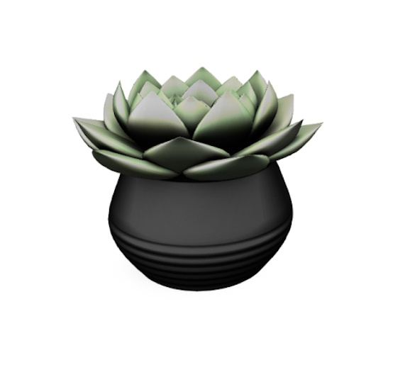 BUENO-Cactus- Black