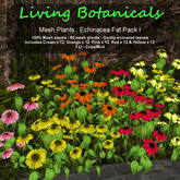 Inochi Botanicals - Echinacea Fat Pack I