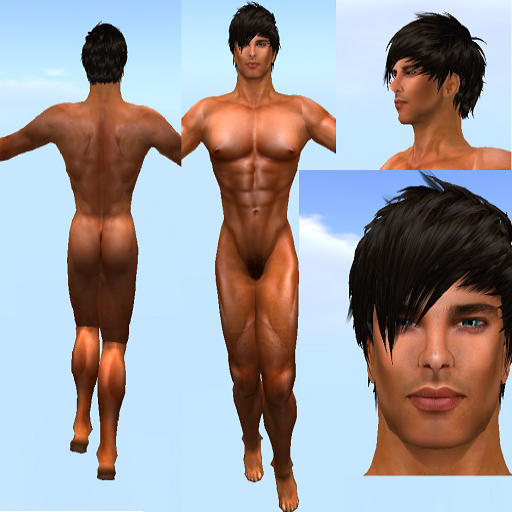 Sebastian Avatar Shape Skin
