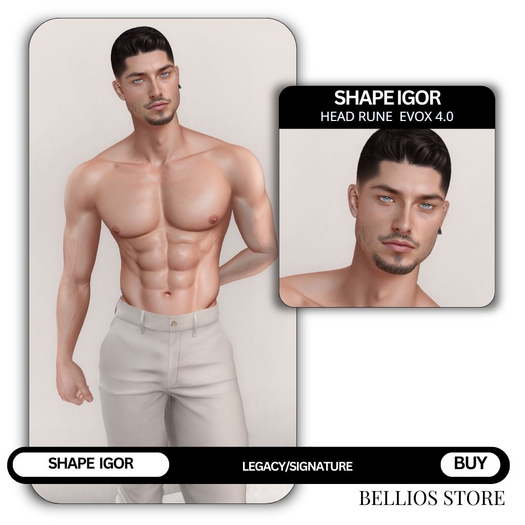 Bellios Store - Shape Igor  - Rune EVO X 4.0