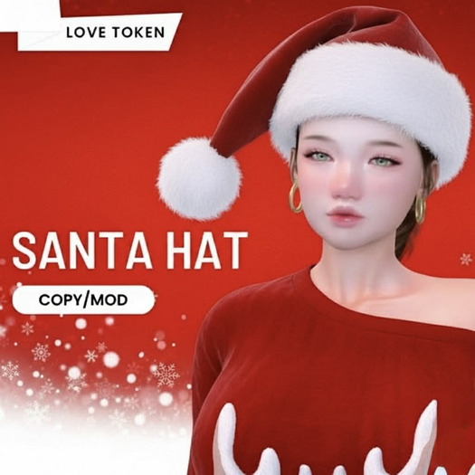Santa Hat- Male or Female with Resizer