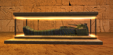 Tutankhamun Sarcophagus Display Case