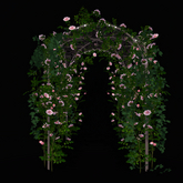 Rose Pergola Set COPY ONLY(22LI, 4.5x4.5x5)