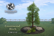 Greenwood Birch (add)