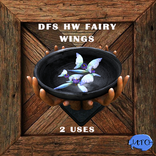 DFS HW Fairy Wings  x10  (BULK)