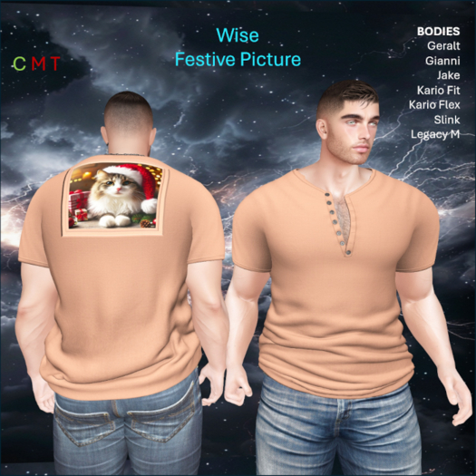 WiZe Delivery (Add) - Orange Christmas Ginger Cat
