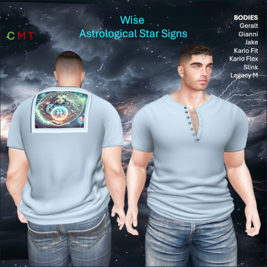 WiZe Delivery (Add) - Shirt - Aquarius