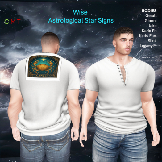 WiZe Delivery (Add) - Shirt - Cancer