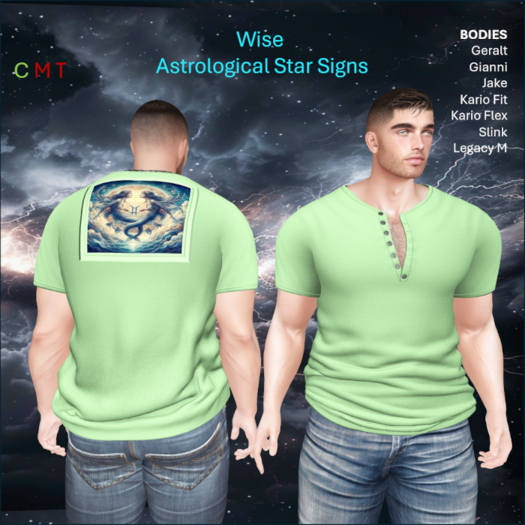WiZe Delivery (Add) - Shirt - Gemini
