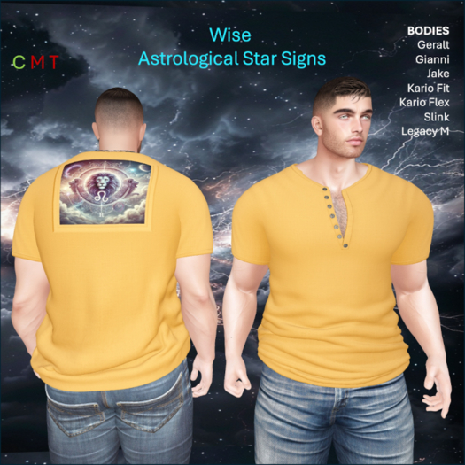 WiZe Delivery (Add) - Shirt - Leo