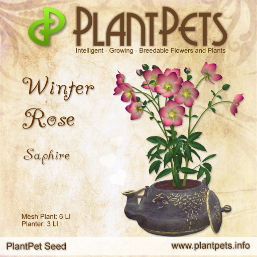 PlantPet Seed [Winter Rose *Saphire*]