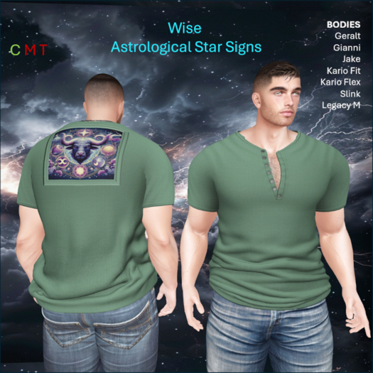 WiZe Delivery (Add) - Shirt - Taurus