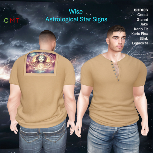 WiZe Delivery (Add) - Shirt - Vergo