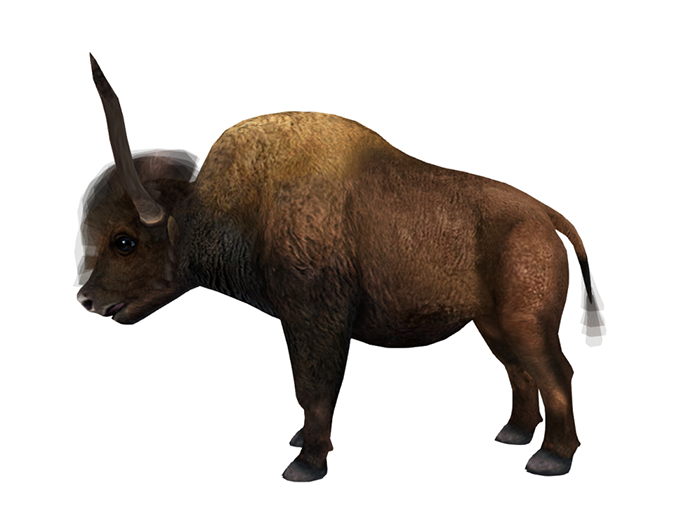 DFS Bull - Bosk