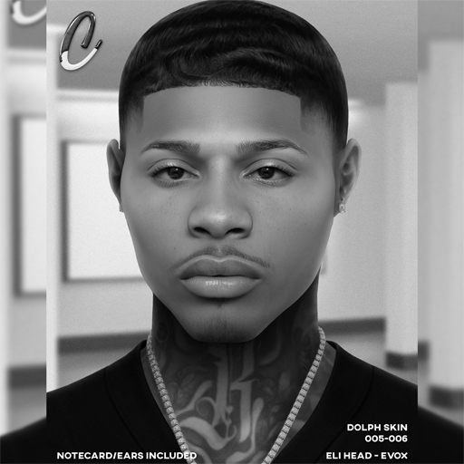 Canvas / Dolph Skin / Demos