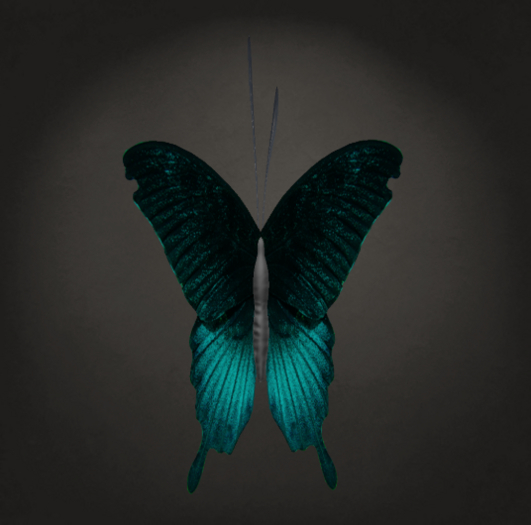 {Papillon} Ma/Mon/Nor/Fey/Butterfly/SatinB Cocoon