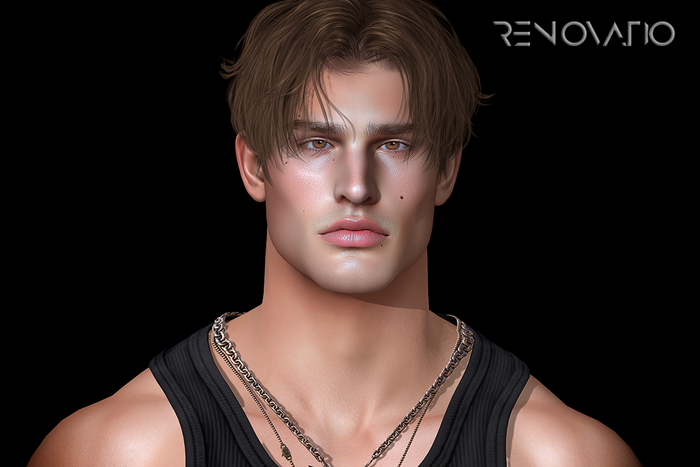 RENOVATIO Noah  Shape