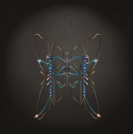 {Papillon} Ma/Sma/Nor/Rin/Butterfly/Logo Cocoon