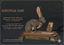 Dirty Rat - European Hare