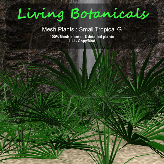 Inochi Botanicals : Mesh Plant - Small Tropical G