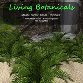 Inochi Botanicals : Mesh Plant - Small Tropical H