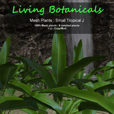 Inochi Botanicals : Mesh Plant - Small Tropical J