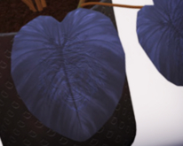 POTTED: Breedable LITERATURE COLLECTION Philodendron Plant Seed