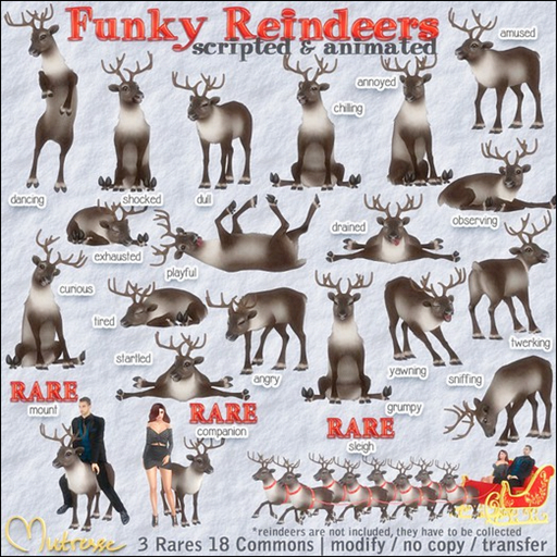01 Mutresse-Dancing-Funky Reindeers