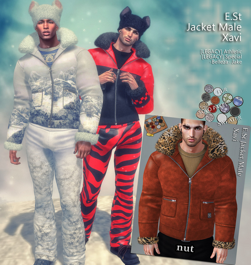 E.St Jacket Male. Xavi nut