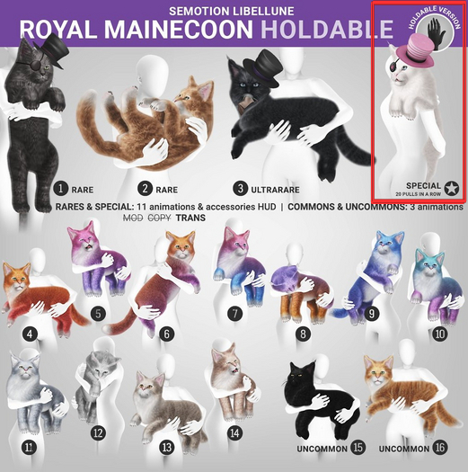 SEmotion Libellune Royal Mainecoon Holdable SPECIAL